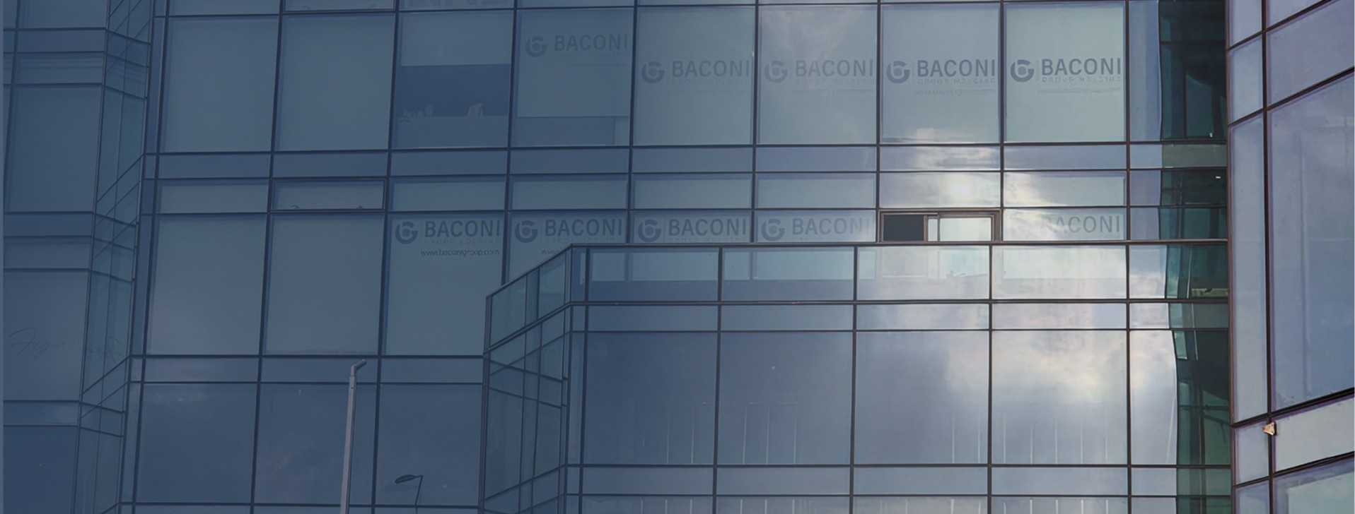 Sustainability and Corporate Social Responsibility 